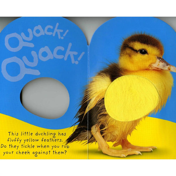Baby Touch and Feel: Quack! Quack!, Board Book