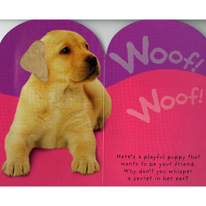Baby Touch and Feel: Quack! Quack!, Board Book