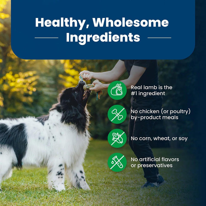 Blue Life Protection Formula Lamb and Rice, Adult Dry Dog Food,36 lbs.