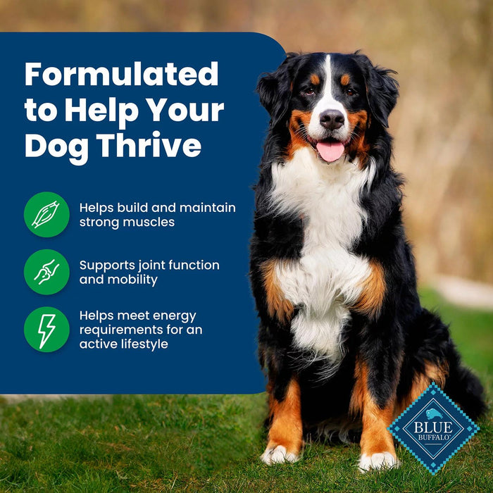 Blue Life Protection Formula Lamb and Rice, Adult Dry Dog Food,36 lbs.