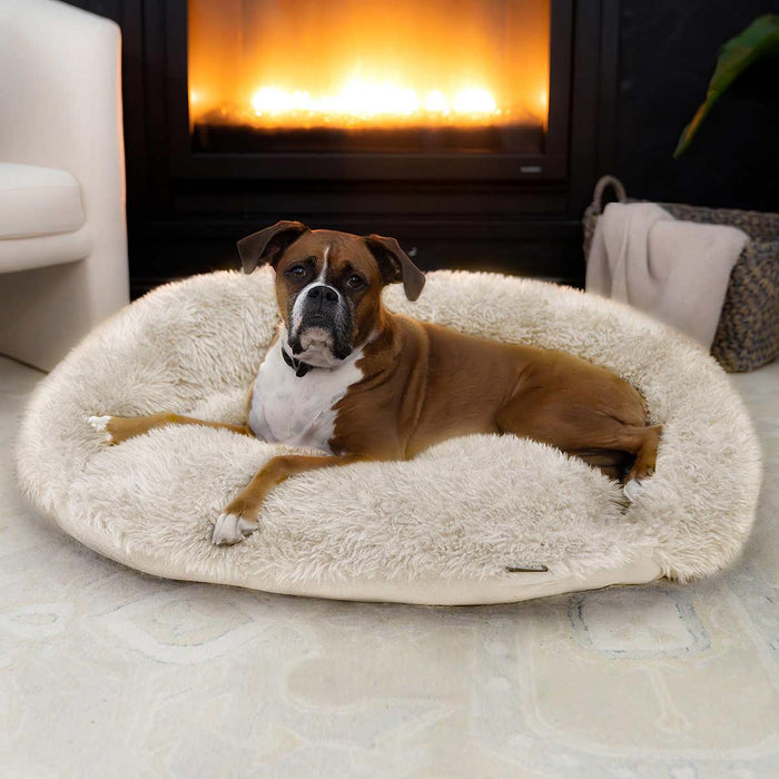 Doggy Decor by Arlee Home and Pet Memory Foam Moonrise Pet Bed Home Deliveries