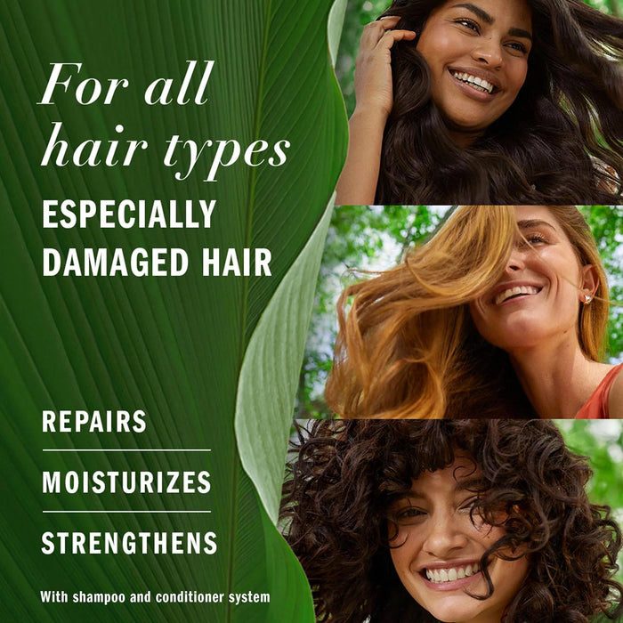 Herbal Essences Argan Oil and Green Tea Shampoo, 33.8 fl. oz.