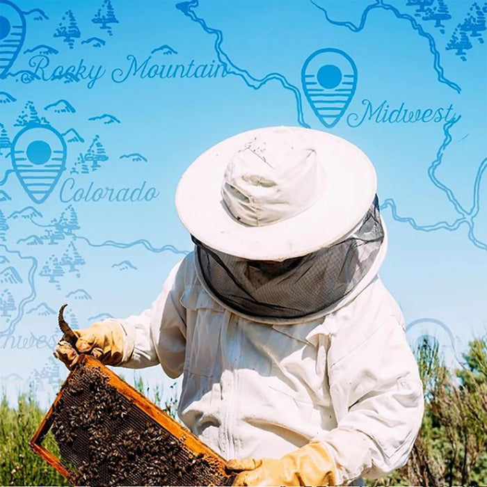 Local Hive Colorado Raw and Unfiltered Honey, 40 oz.
