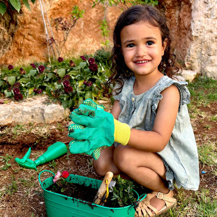 Miracle-Gro Flower and Vegetable Set with Seeds