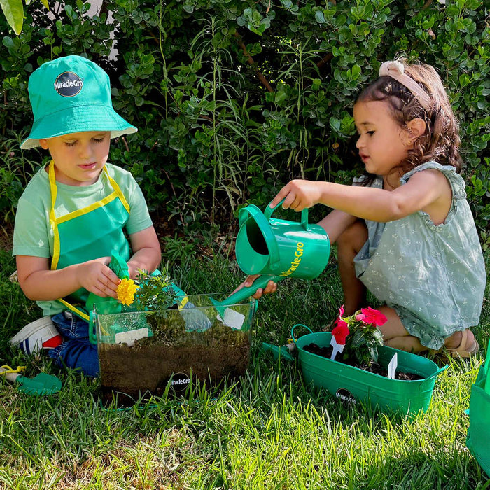 Miracle-Gro Flower and Vegetable Set with Seeds