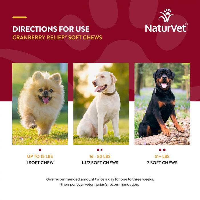 NaturVet, Cranberry Relief Plus Echinacea Soft Chews for Dogs, 120ct.