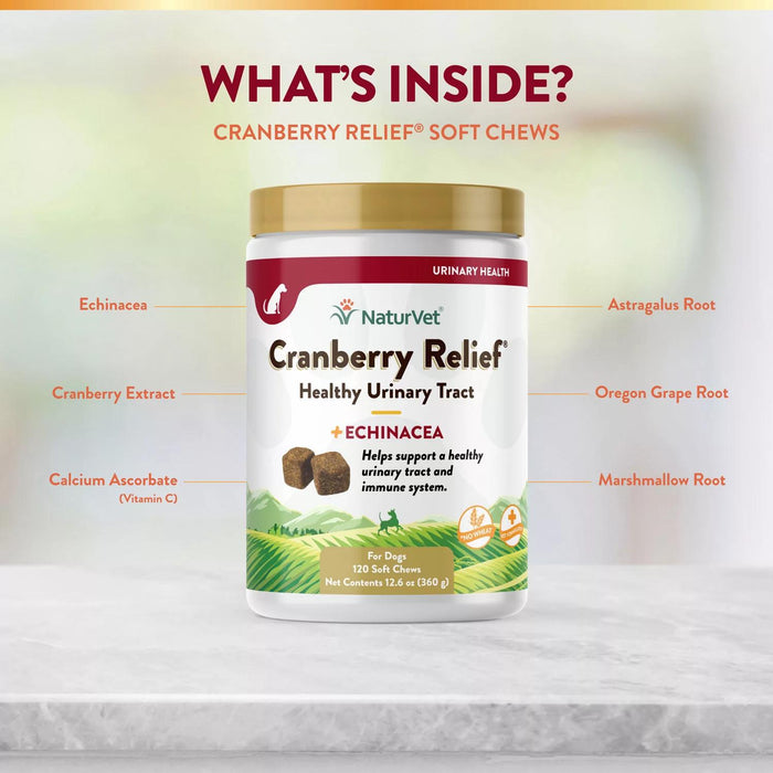 NaturVet, Cranberry Relief Plus Echinacea Soft Chews for Dogs, 120ct.