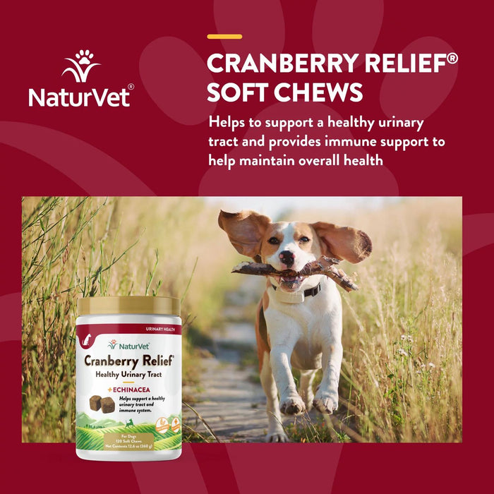 NaturVet, Cranberry Relief Plus Echinacea Soft Chews for Dogs, 120ct.