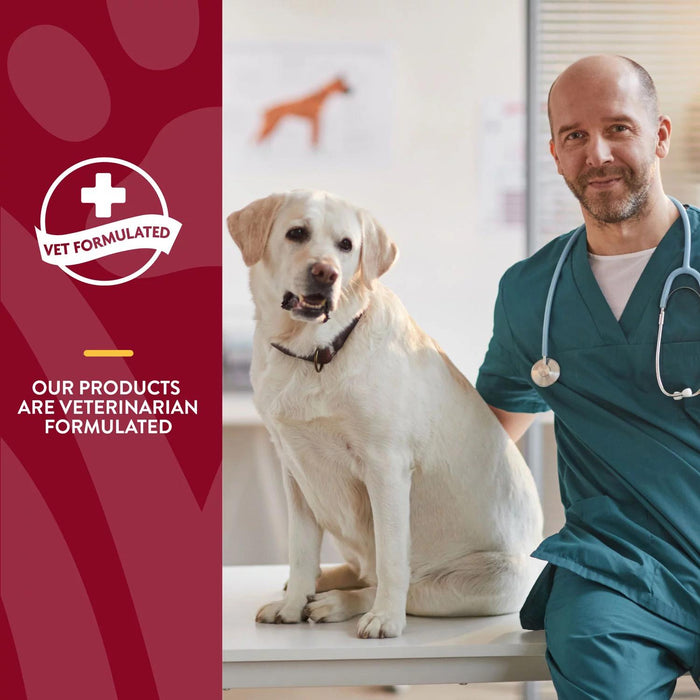 NaturVet, Cranberry Relief Plus Echinacea Soft Chews for Dogs, 120ct.
