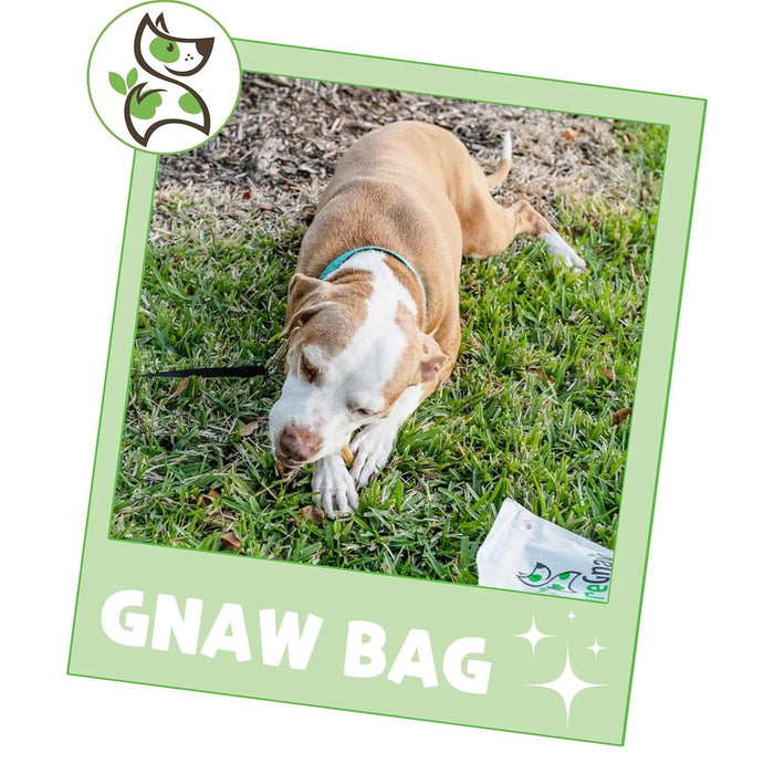 Nature Gnaws Dog Chews, Variety Pack, 18 ct., 19.2 oz.