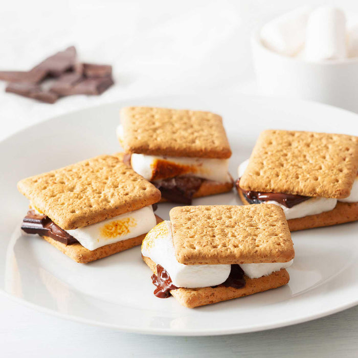 Nostalgia Indoor Electric Stainless Steel S'mores Maker