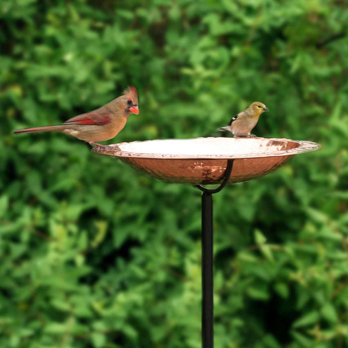 Pure Copper Standing Bird Bath by Good Directions
