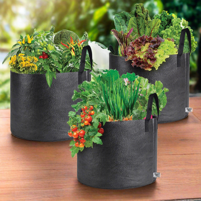 Smart Pot 15 Gallon Fabric Planter, 3-pack